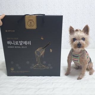 솜희님이 올린 리뷰 사진 4