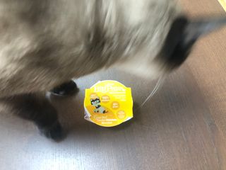 Criss님이 올린 리뷰 사진 4