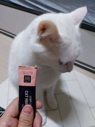 코코몰리 고양이 구강• 헤어볼 데일리 /신장• 요로 데일리 — 3.5점을 준 리뷰어가 2020년 12월 올린 사용 사진