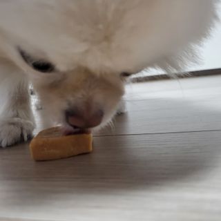 명샘님이 올린 리뷰 사진 4