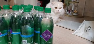 몽베스트 Montbest with Sparkling water Plain 20병 — 5점을 준 리뷰어가 2022년 8월 올린 사용 사진
