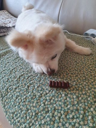보미누나님이 올린 리뷰 사진 1