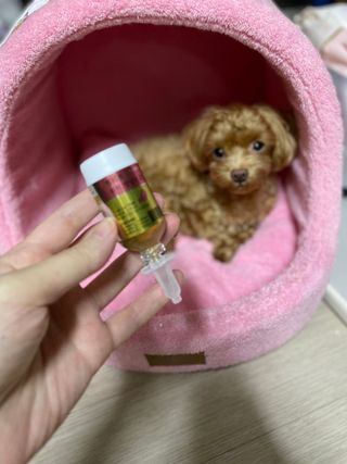 ehlove님이 올린 리뷰 사진 2