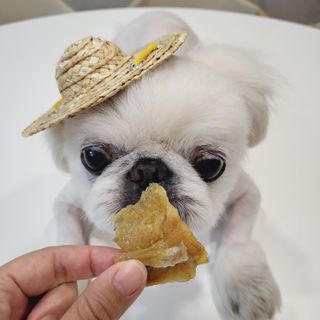 mini unni님이 올린 리뷰 사진 3