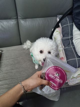 빙빙이님이 올린 리뷰 사진 4