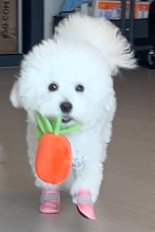 람예님이 올린 리뷰 사진 4