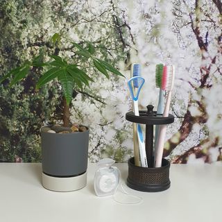 바이올라님이 올린 리뷰 사진 1