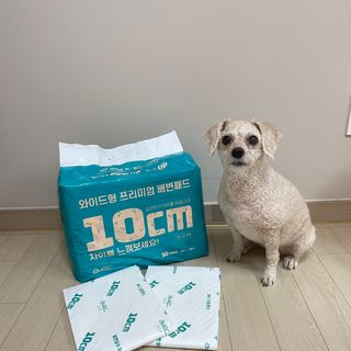 아베크 펫 와이드 프리미엄 대형 애견 강아지 배변 패드 30매 1팩 80g — 5점을 준 리뷰어가 2021년 7월 올린 사용 사진