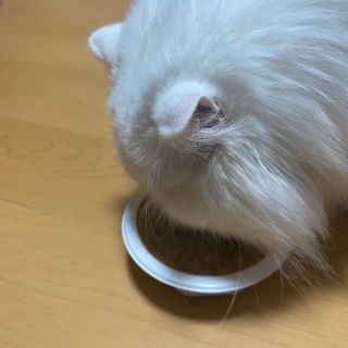 하루님이 올린 리뷰 사진 3
