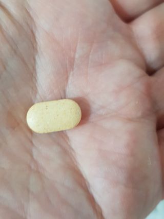 뉴트리션팩토리 비타프렙 바이탈원 종합비타민 멀티비타민 600mg — 5점을 준 리뷰어가 2021년 7월 올린 사용 사진