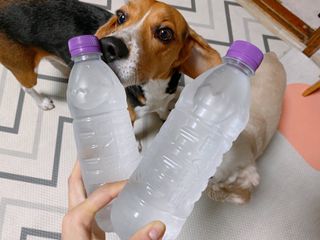 몽베스트 [MONTBEST]위드어스 500mL 20병 — 5점을 준 리뷰어가 2022년 6월 올린 사용 사진