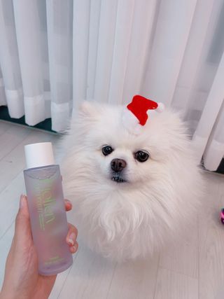 망고마미님이 올린 리뷰 사진 3