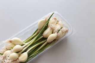 티아레님이 올린 리뷰 사진 3