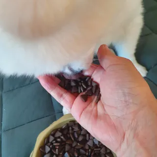 보미누나님이 올린 리뷰 사진 2
