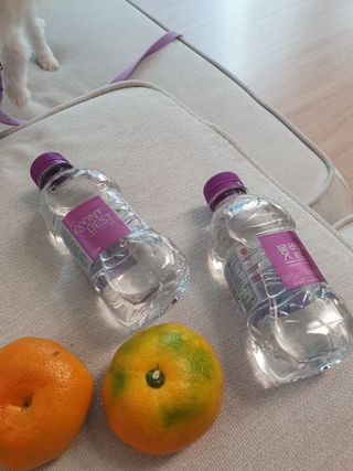 몽베스트 [MONTBEST] 330mL 20병 — 5점을 준 리뷰어가 2021년 10월 올린 사용 사진