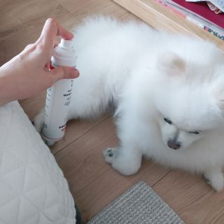 JAY님이 올린 리뷰 사진 2