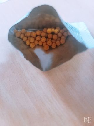 예둥맘님이 올린 리뷰 사진 3