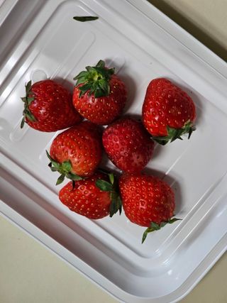 soling님이 올린 리뷰 사진 3