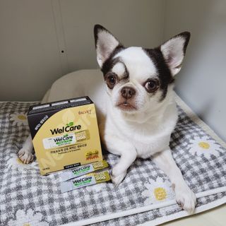 mini unni님이 올린 리뷰 사진 1