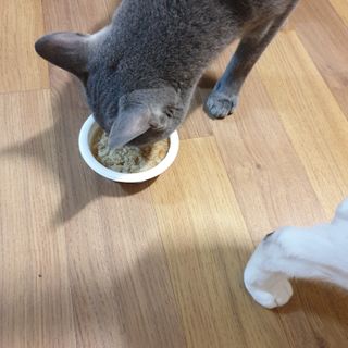 미애님이 올린 리뷰 사진 1