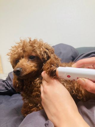 스링님이 올린 리뷰 사진 1