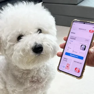 신원경님이 올린 리뷰 사진 2