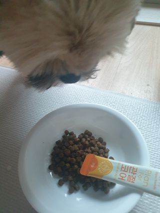 보리엄마님이 올린 리뷰 사진 2