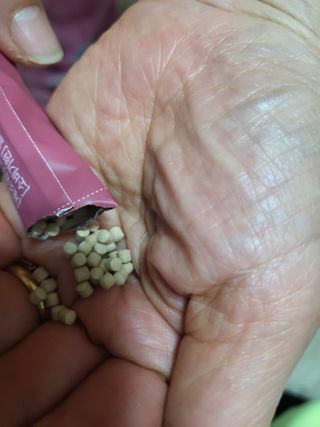 뾰로롱꼬마마녀님이 올린 리뷰 사진 3