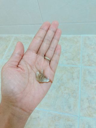 다슈코리아 다슈 데일리 단백질 한방 두피 골드 샴푸 500ml — 5점을 준 리뷰어가 2021년 1월 올린 사용 사진