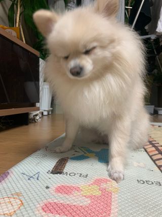 별이빛나길님이 올린 리뷰 사진 4