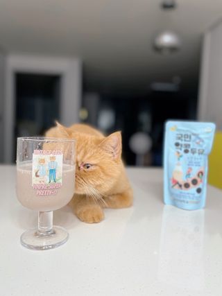 딸기우유님이 올린 리뷰 사진 2