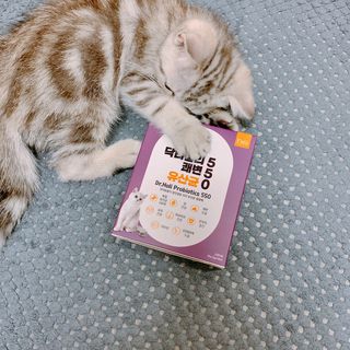 펭뽀꾸님이 올린 리뷰 사진 1