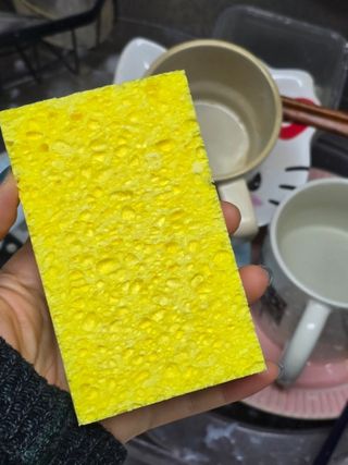박꽃님이 올린 리뷰 사진 2