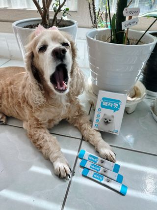 유키코코샤넬님이 올린 리뷰 사진 3