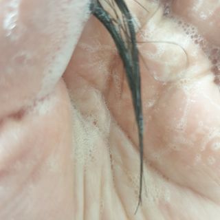 빅그린 안티 헤어로스 탈모 시카 바이옴 샴푸 500ml (중건성두피용) — 5점을 준 리뷰어가 2022년 7월 올린 사용 사진
