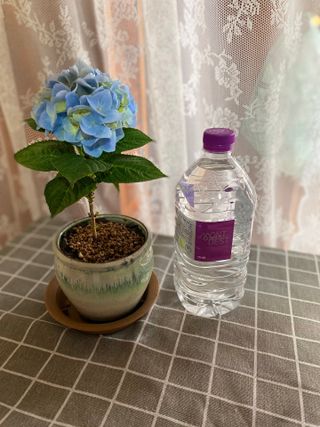 몽베스트 MONTBEST 1L 12입 — 5점을 준 리뷰어가 2022년 4월 올린 사용 사진