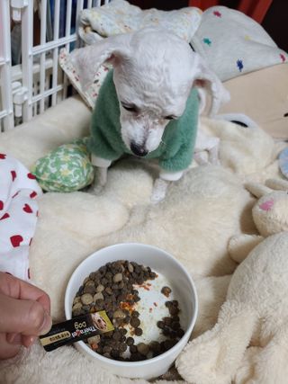 지후누님이 올린 리뷰 사진 4