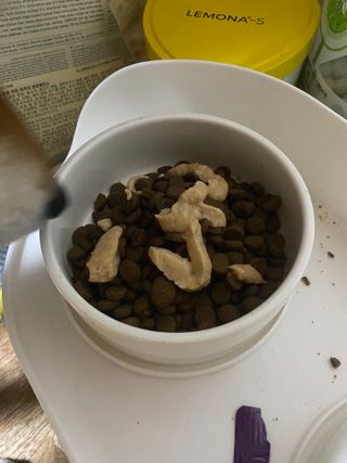 지미추님이 올린 리뷰 사진 1
