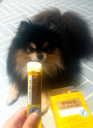서울에프엔비 면역보감 뼈엔 칼비타 젤리 아연·칼슘·비타민D 20g X 15포 — 4.5점을 준 리뷰어가 2021년 11월 올린 사용 사진