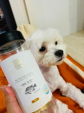 토르헐크님이 올린 리뷰 사진 2