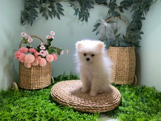 촵촵님이 올린 리뷰 사진 4