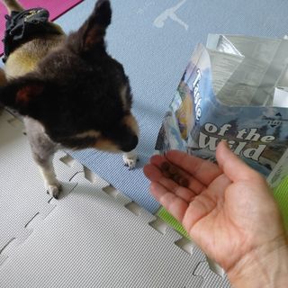 복도리님이 올린 리뷰 사진 3