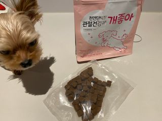 My Pet Care 천연단백질 관절건강에 개좋아 — 5점을 준 리뷰어가 2021년 1월 올린 사용 사진