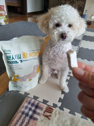 [펫시밀] 원물그대로 영양듬뿍 동결건조 왕북어트릿300g,왕치킨트릿400g,열빙어트릿300g 대용량 간식 — 5점을 준 리뷰어가 2023년 5월 올린 사용 사진