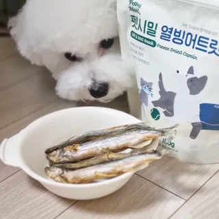 [펫시밀] 원물그대로 영양듬뿍 진공동결건조 치킨텐더100g, 열빙어트릿100g 강아지 고양이 간식 — 5점을 준 리뷰어가 2023년 5월 올린 사용 사진