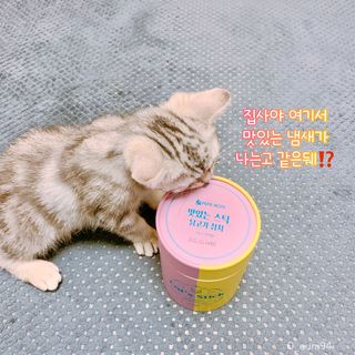 페페로니 맛있는 스틱 - 무항생제 닭고기 15개 + 원양선 참치 15개 — 5점을 준 리뷰어가 2021년 10월 올린 사용 사진