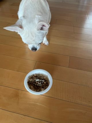 uc9v0shedk님이 올린 리뷰 사진 3