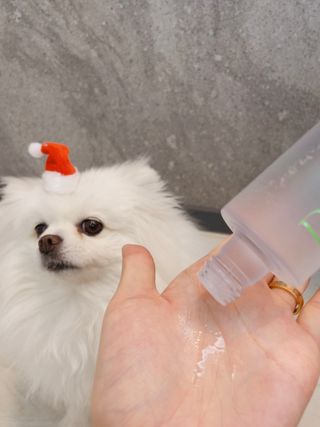 망고마미님이 올린 리뷰 사진 2