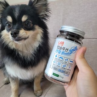 럭키도키님이 올린 리뷰 사진 2
