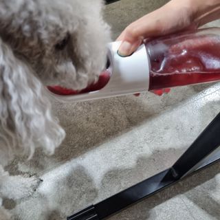 랄라맘마님이 올린 리뷰 사진 3